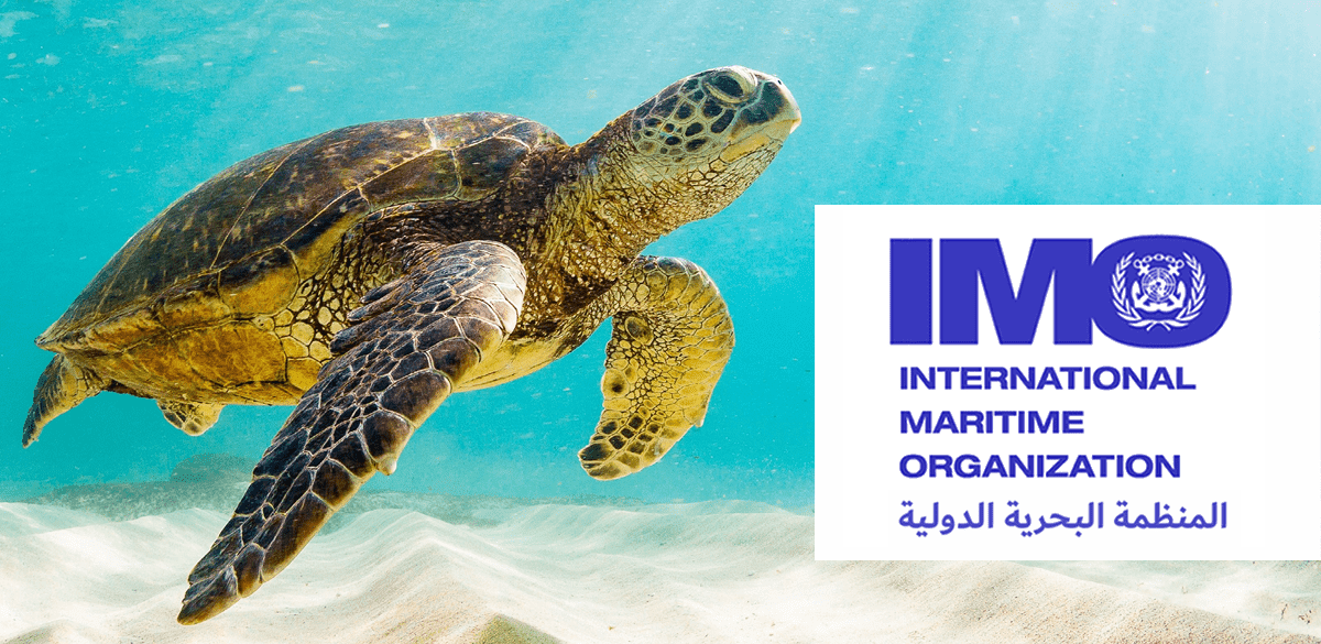 International Maritime Organization
