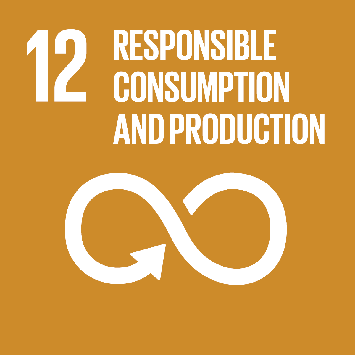 SDG icon