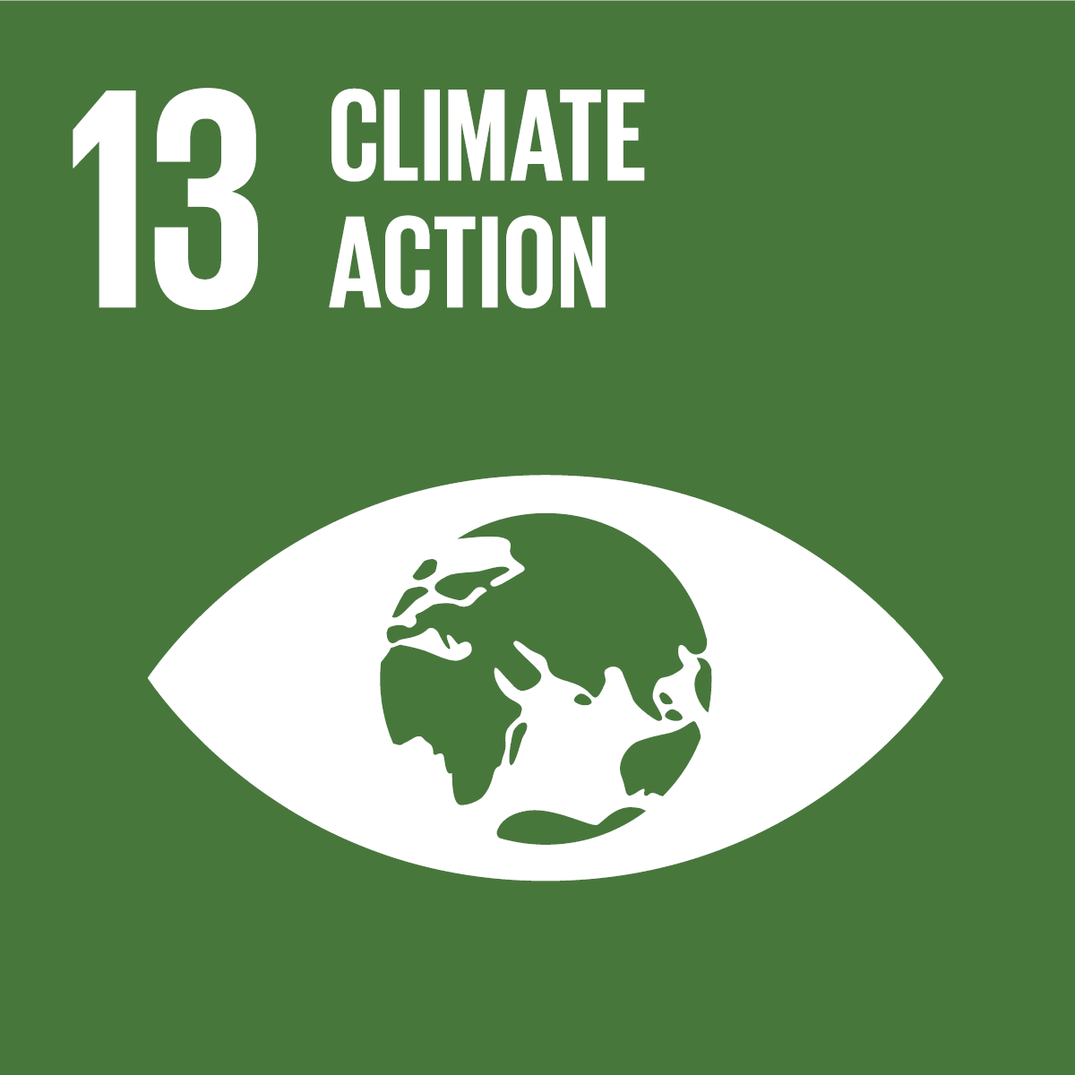 SDG icon