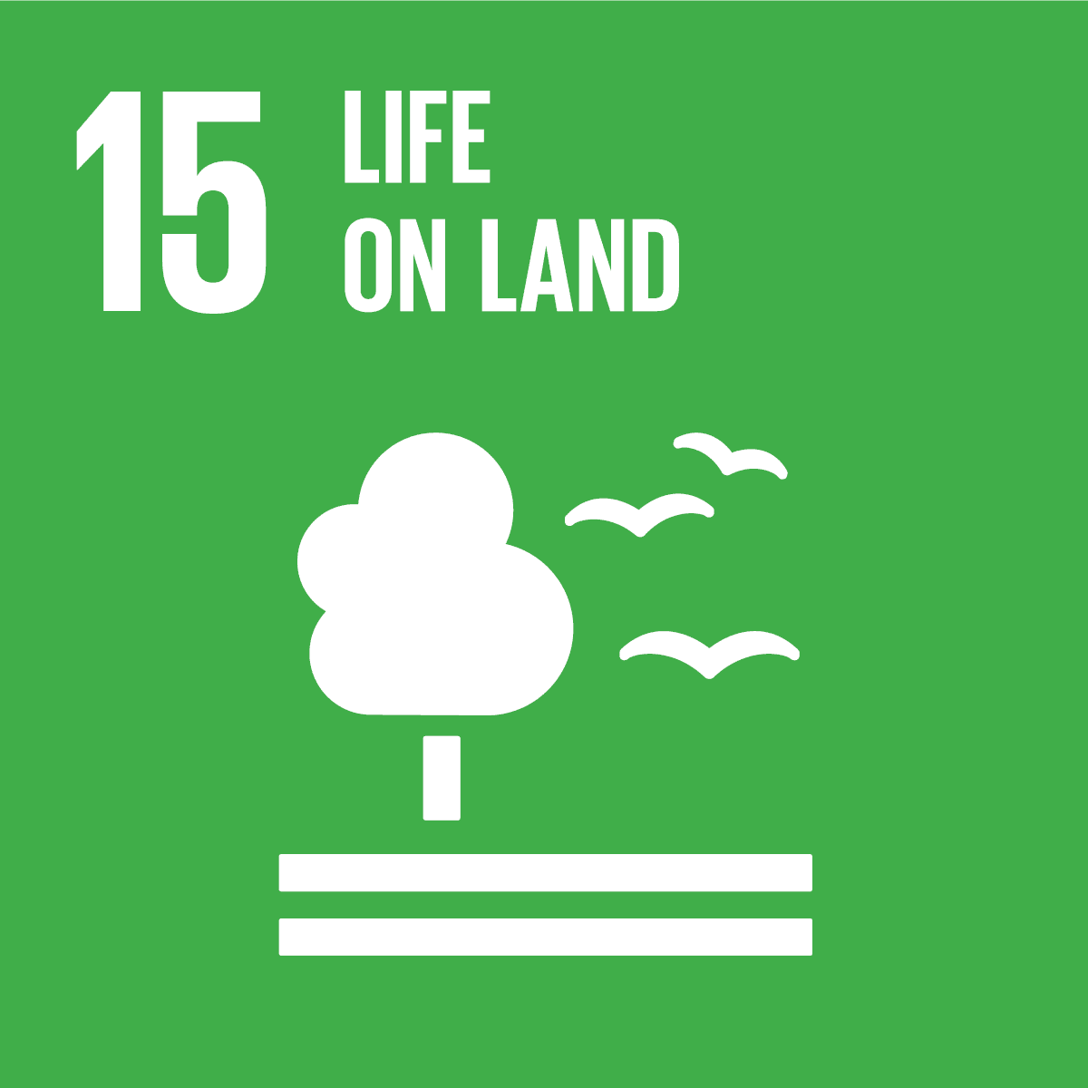 SDG icon