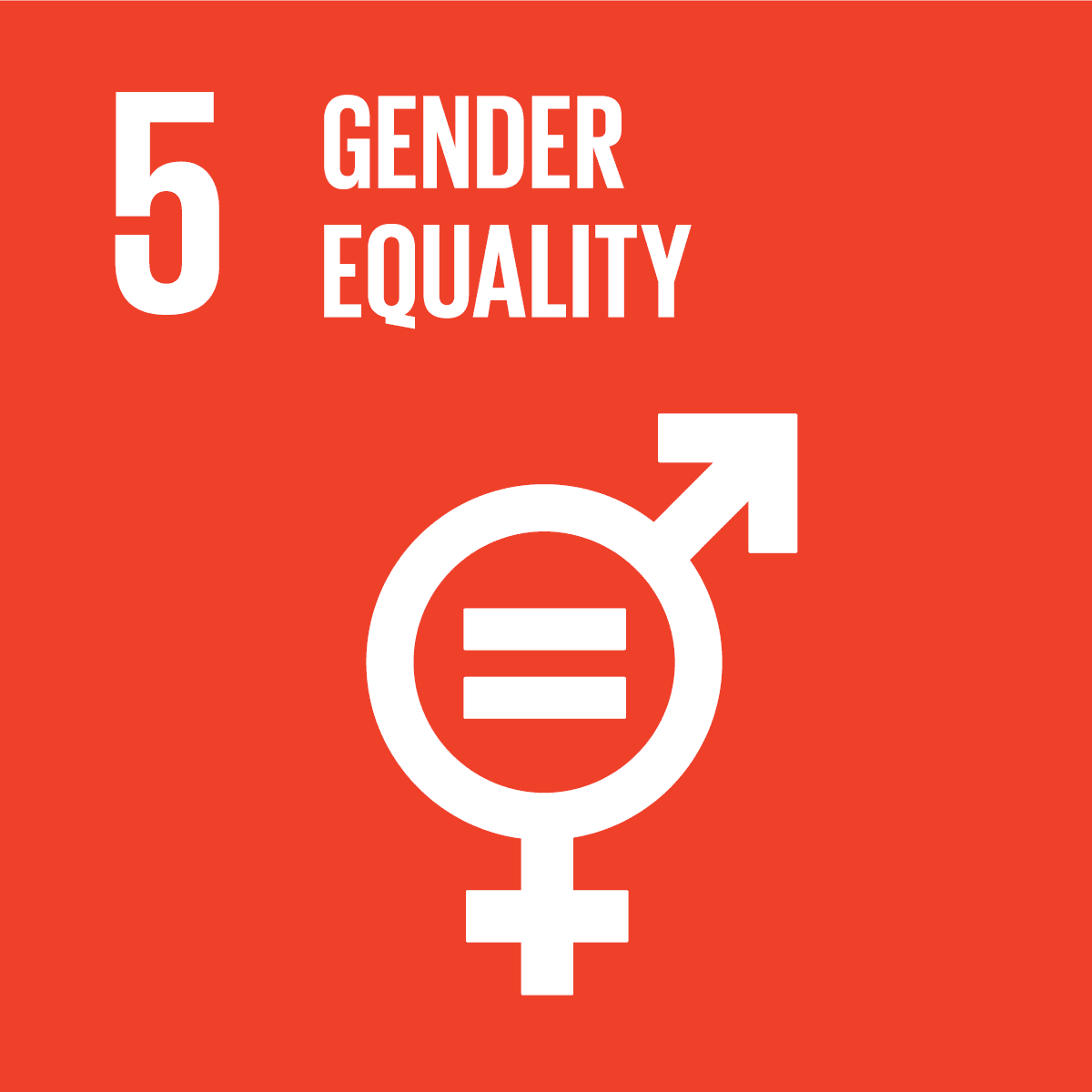 SDG icon